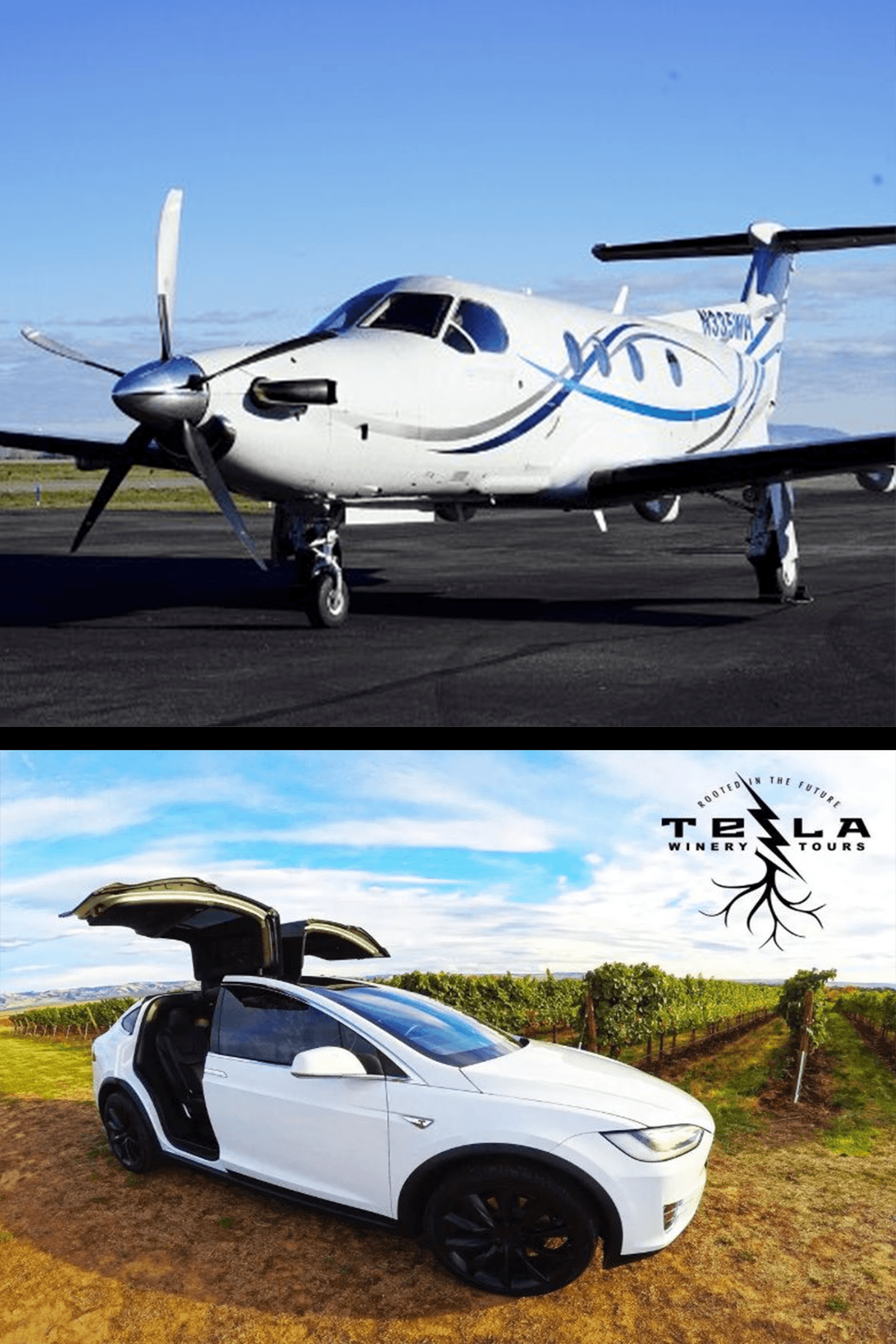flight-tesla